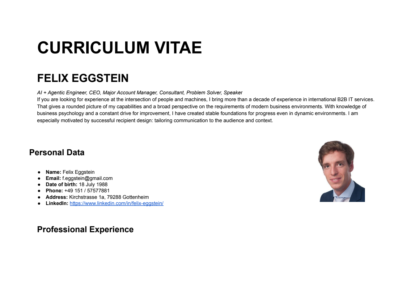English CV preview